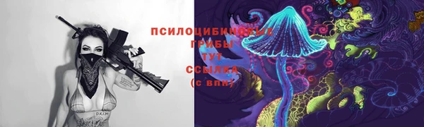 дживик Корсаков