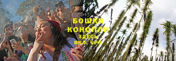 ALPHA PVP Коряжма